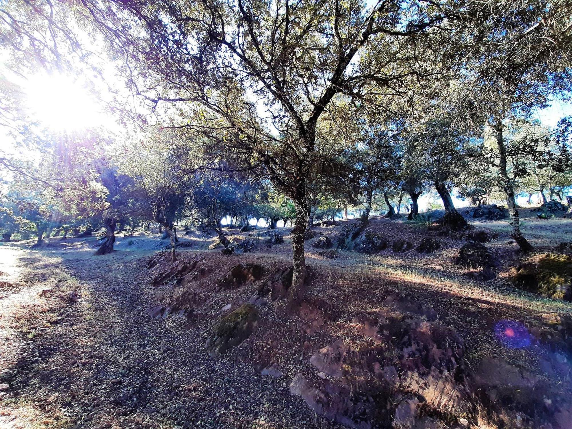 Casa Rural Gurumelo Aracena Dış mekan fotoğraf