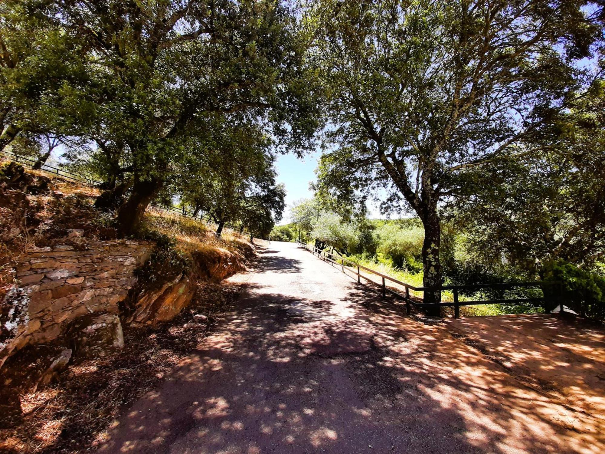 Casa Rural Gurumelo Aracena Dış mekan fotoğraf